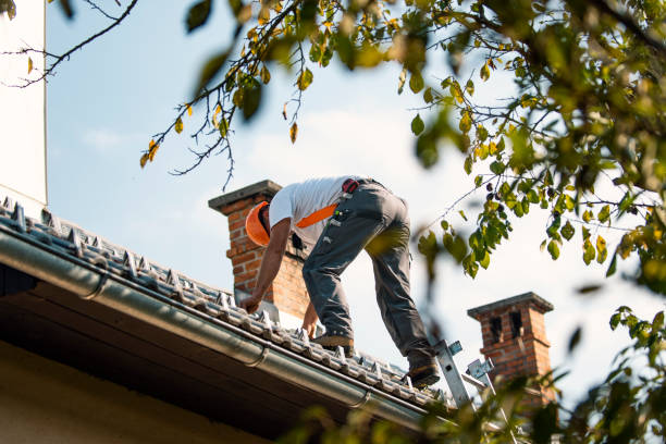 Best Best Roofing Contractors  in Libby, MT