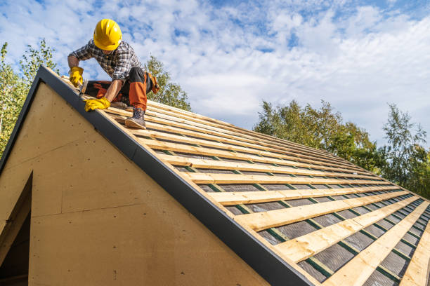 Best Roof Maintenance Services  in Libby, MT